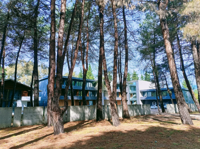 Отель Guma, Пицунда, Гагрский район