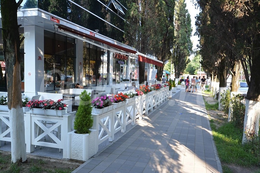 Джунгли у моря, Краснодарский край: фото 4