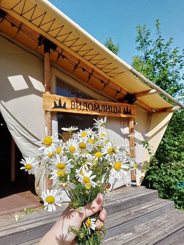 Глэмпинг Видомлицы, Новгородская область, деревня Видомлицы Любытино