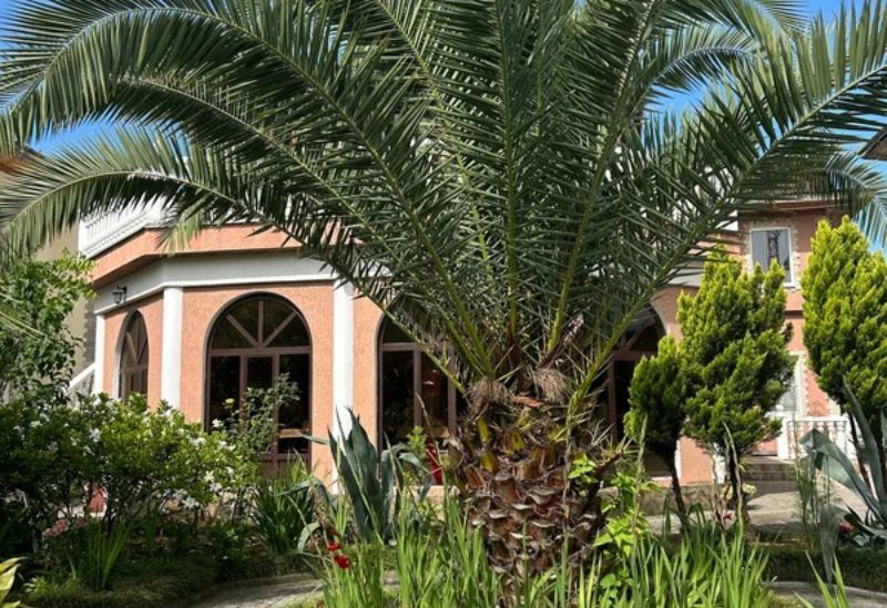 Дени Дельмар, Гудаутский район: фото 2