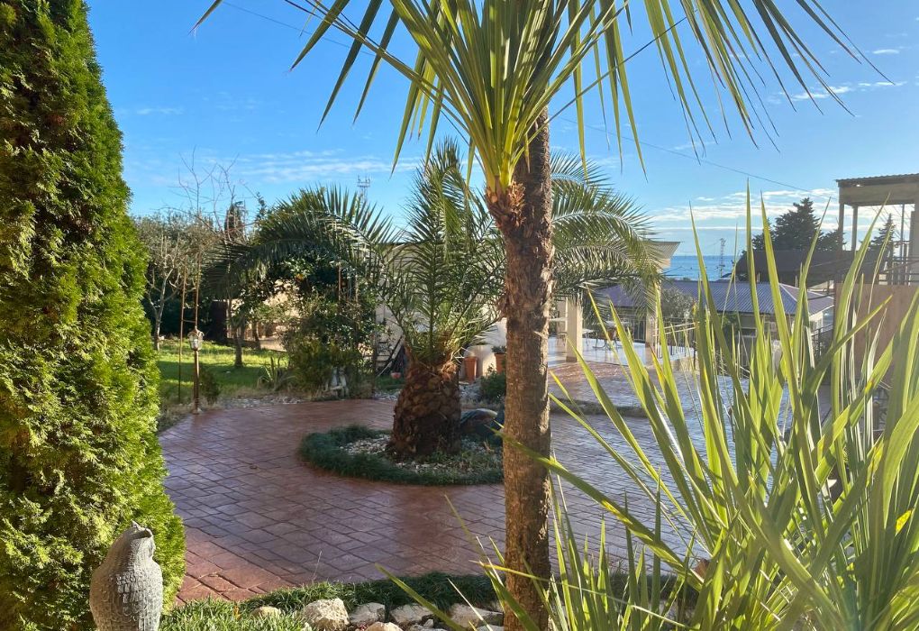 Огонек, Гагрский район: фото 3