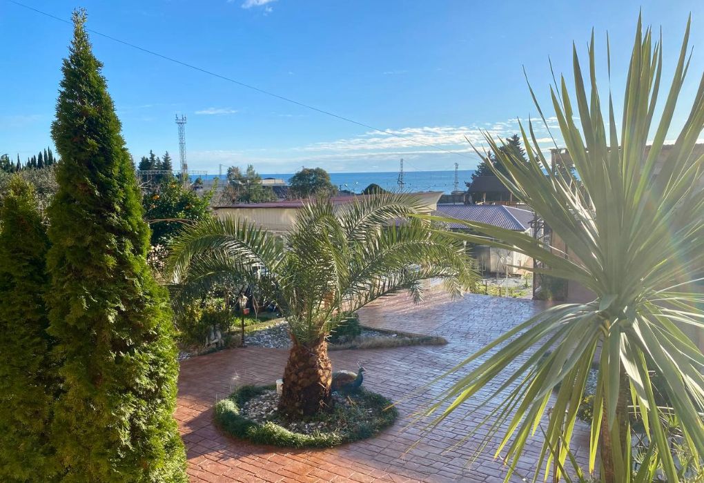 Огонек, Гагрский район: фото 5