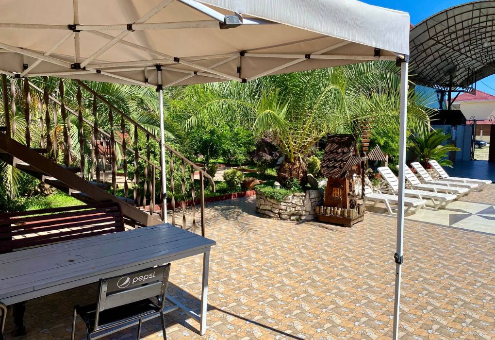 Розовый фламинго, Гагрский район: фото 5