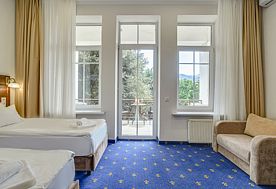 1-мест. (разм. в 2-мест.) Deluxe с балк., Отель Бристоль, Ялта