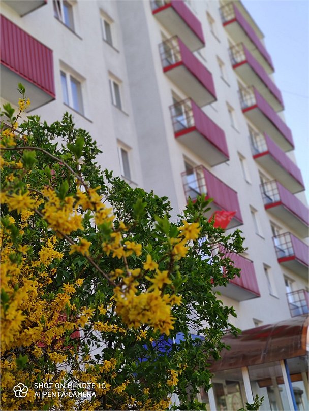 Патриот, Калининградская область: фото 2