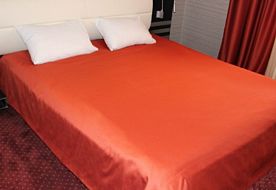 2-мест. Standard DBL, Отель Villa Palace, Бакуриани