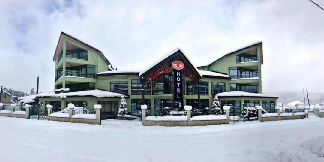 Villa Palace, Самцхе-Джавахети: фото 2