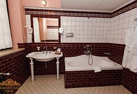 1-мест. (разм. в 2-мест.) Superior Twin/Double, Гостиница Эрмитаж (Брест), Брест