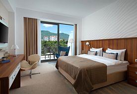 2-мест. станд., корп. 1, СПА-отель Приморье Grand Resort Hotel, Геленджик
