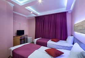 Стандарт двухместный номер с 2 отдельными кроватями, Гостиница Garden Hotel, Москва
