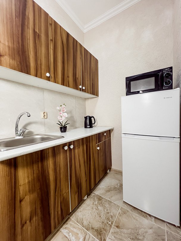 Апартаменты студия 4-местные 2-комнатные с кухней