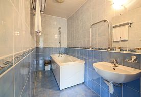 1-мест. (разм. в 2-мест.) 2-этаж. люкс, Парк-отель Тропикана, Солнечногорский район