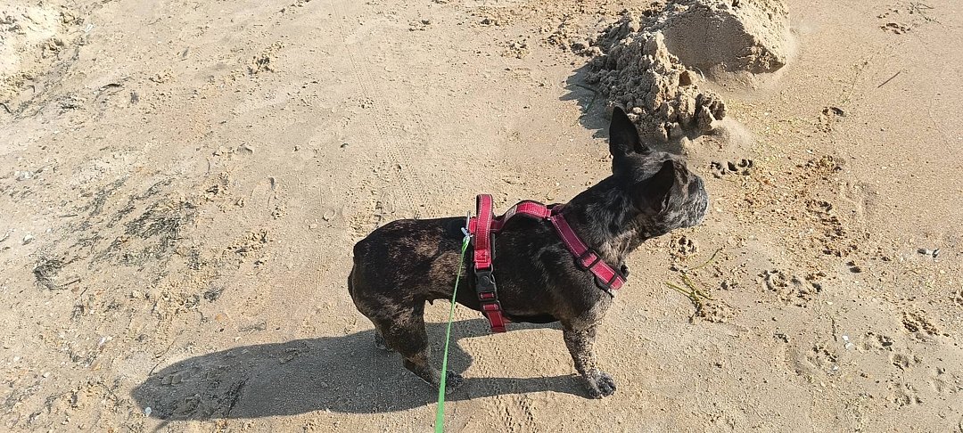 Фото 8 из отзыва о пансионате Фея SUNCLUB Resort & Spa 3*