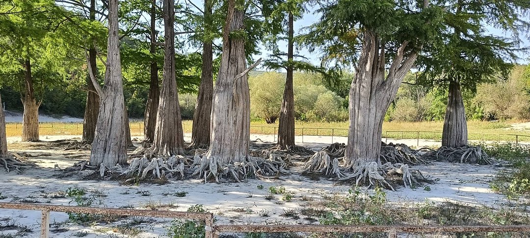 Фото 9 из отзыва о пансионате Фея SUNCLUB Resort & Spa 3*