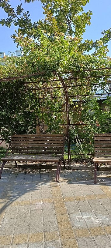 Фото 11 из отзыва о пансионате Фея SUNCLUB Resort & Spa 3*