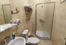 1-мест. (разм. в 2-мест.) станд. плюс, Лечебно-оздоровительный комплекс Центр реабилитации и восстановления Орион, Кисловодск