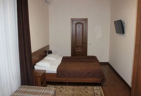 1-мест. (разм. в 2-мест.) улучш. без конд., Отель АМИРА Парк, Кисловодск