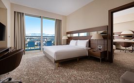 2 места станд. (вид на горы), Отель Mantera Resort & Congress, Адлер