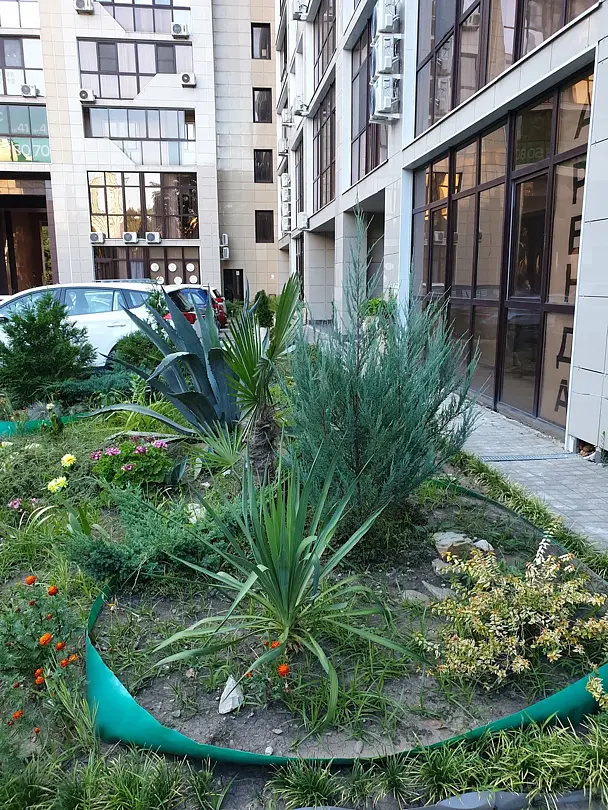 Rose Del Mare, Краснодарский край: фото 3