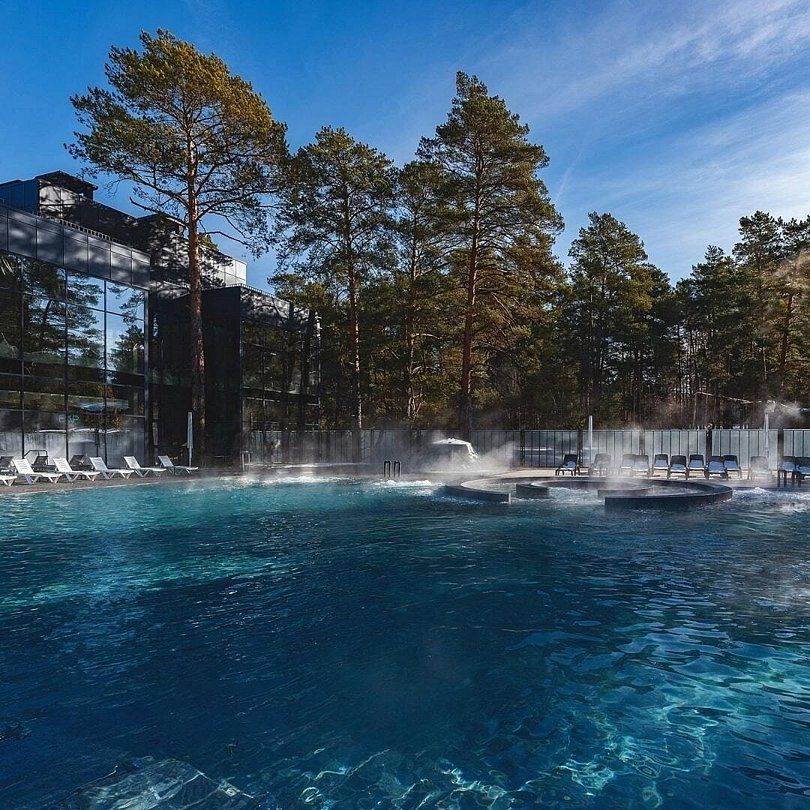 Лесники, Курганская область: фото 5