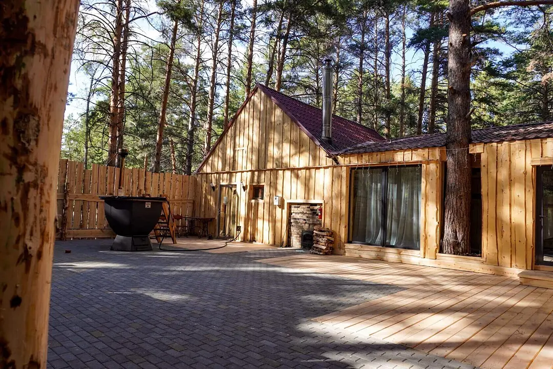 Лесники, Курганская область: фото 4