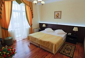 2-мест. станд., Пансионат Рест-Мацеста, Сочи