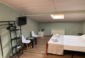 1-мест. (разм. в 2-мест.) станд. DBL, Отель ВЕРТЕБРА, Кисловодск