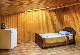 2-мест.(разм. в 5-мест.) станд., Отель ВЕРТЕБРА, Кисловодск