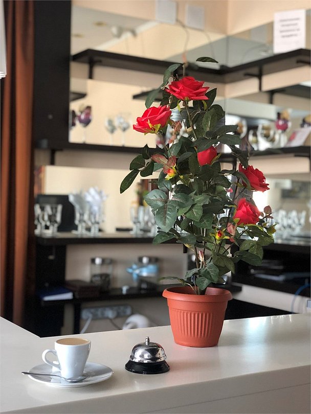 Спутник inn, Ивановская область: фото 5