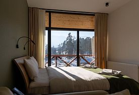 2-мест. Studio Smart, Отель Bakuriani 1700 , Бакуриани