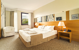 2-мест. Standard DBL, Отель Marco Polo, Гудаури