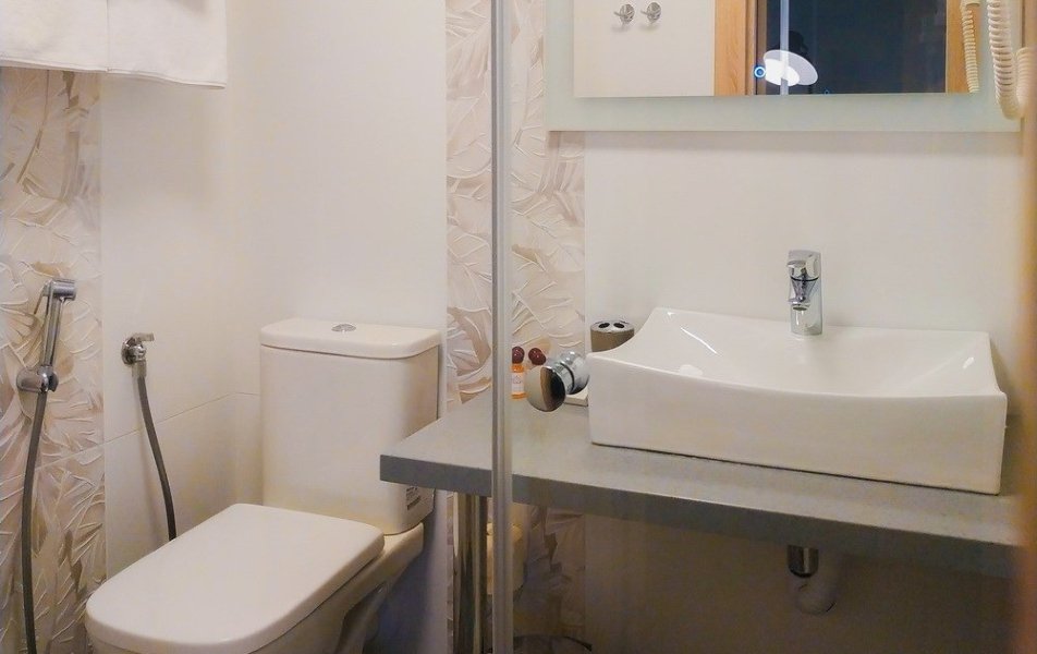 Делюкс 2-местный 1-комнатный (с инфракрасной сауной)