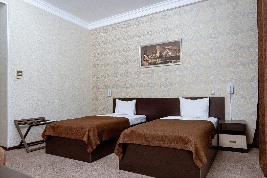 Делюкс 2-местный 1-комнатный (TWIN)