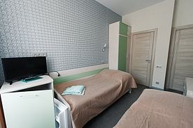 Двухместный номер Standard с балконом 2 отдельные кровати, Санаторий Золотой Колос, поселок Золотой Колос