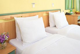 2-мест. станд. TWIN, Гостиница Marins Park Hotel Sochi, Сочи