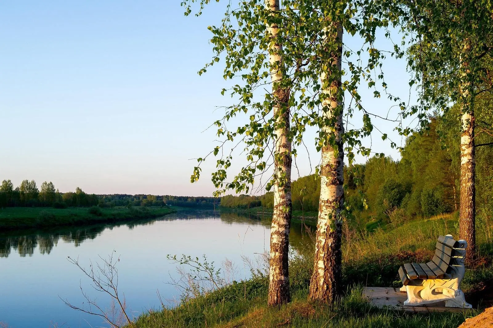 Красный бережок, Новгородская область: фото 3