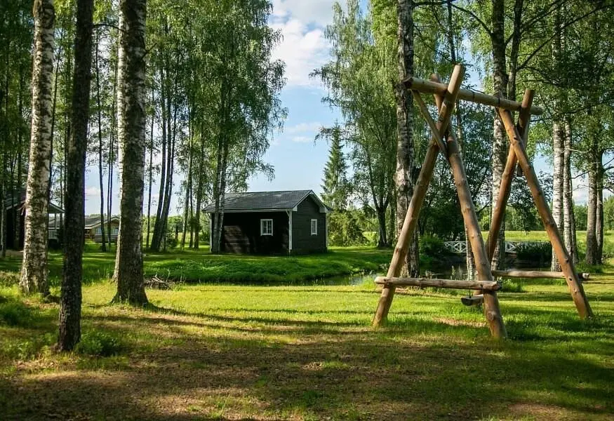 Красный бережок, Новгородская область: фото 2