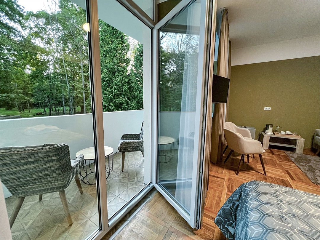 Люкс 2-местный 1-комнатный корпус 17