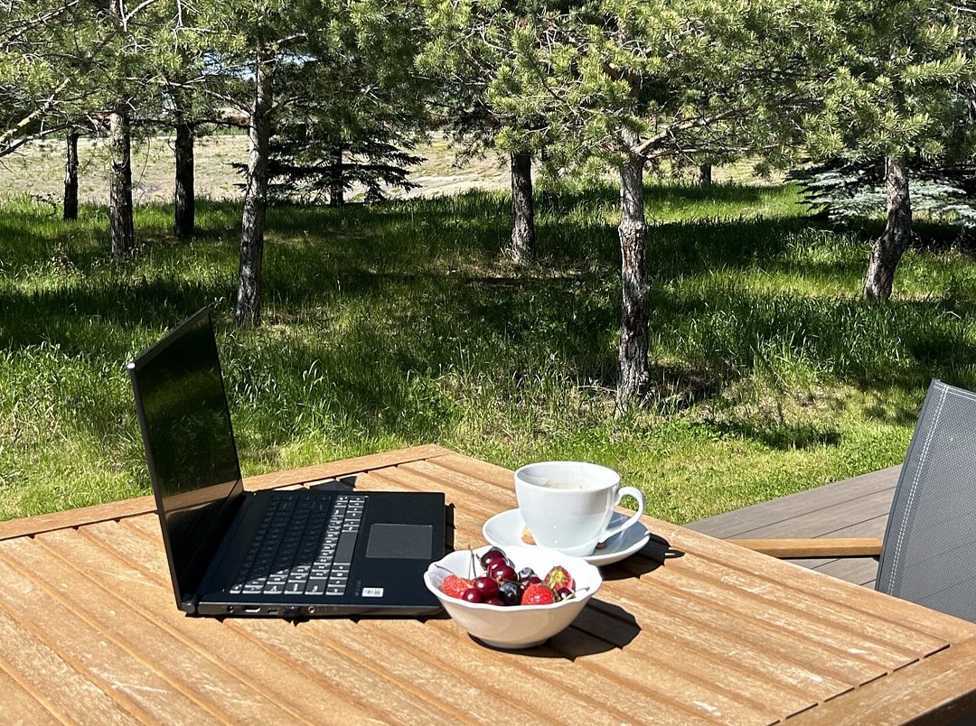 Барнхаус 2-местный (в соснах, с видом на озеро)