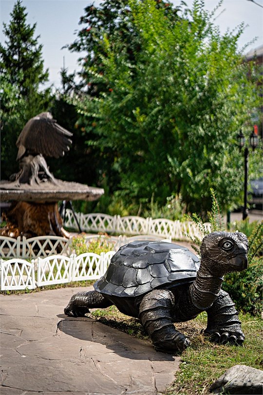 Снежная Сова, Красноярский край: фото 5