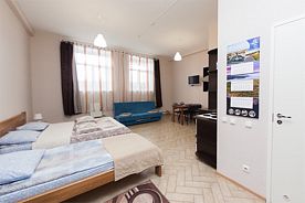 Апартаменты-студия 2010 27 м.кв.  с мини-кухней и санузлом.+79217269080.Уборка по запросу., Гостиница Корал, Петрозаводск