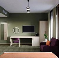 Двухместный номер Плюс Deluxe 2 отдельные кровати, Санаторий Ерино, Подольск
