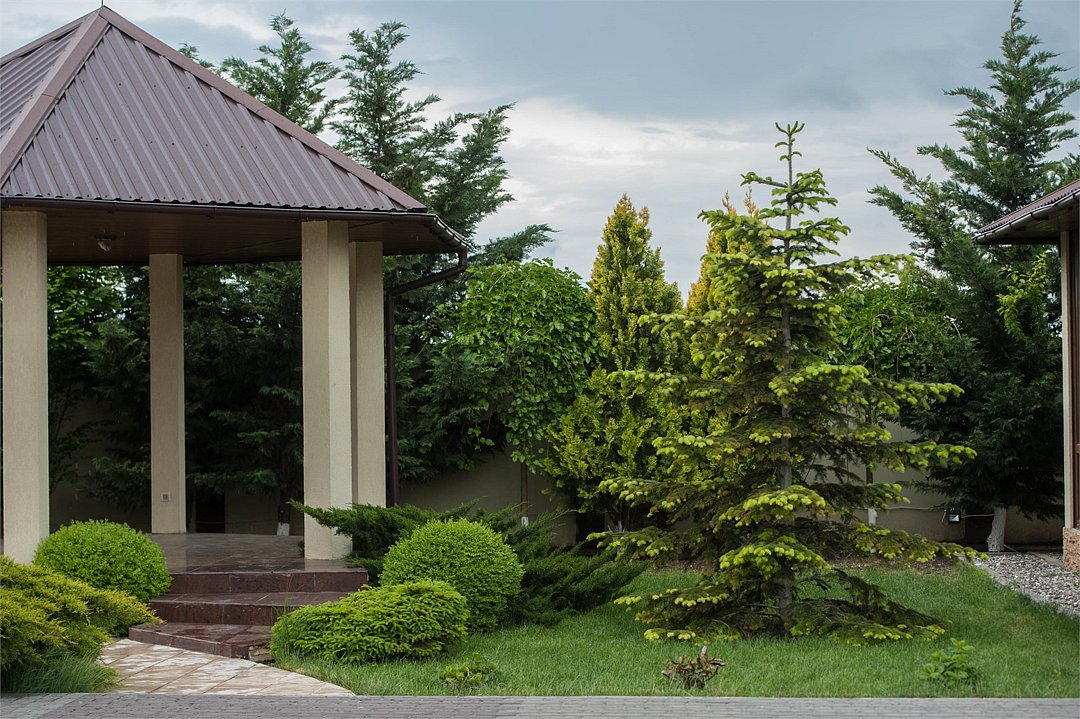 Калифорния, Крым: фото 2