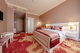 Двухместный номер Deluxe двуспальная кровать, Отель Армега, Москва