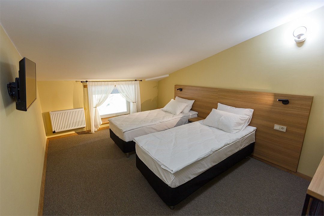 Стандарт Мансарда №301