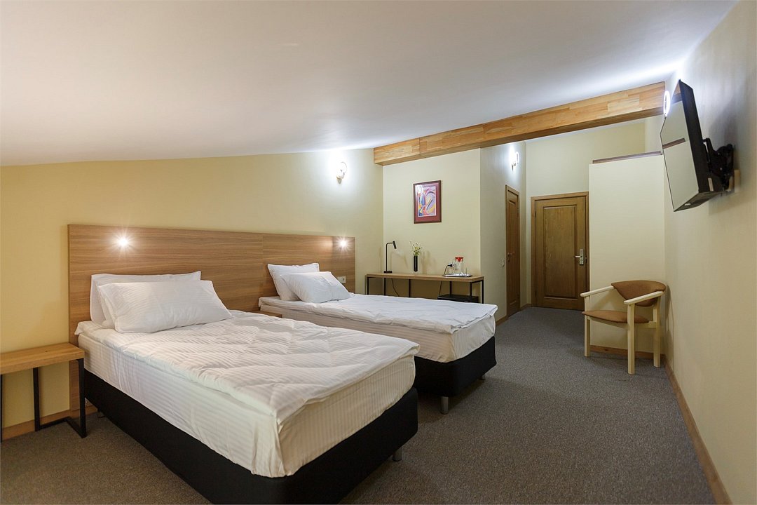 Стандарт Мансарда №301