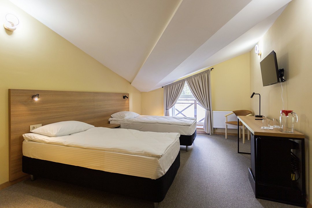 Стандарт Мансарда №302