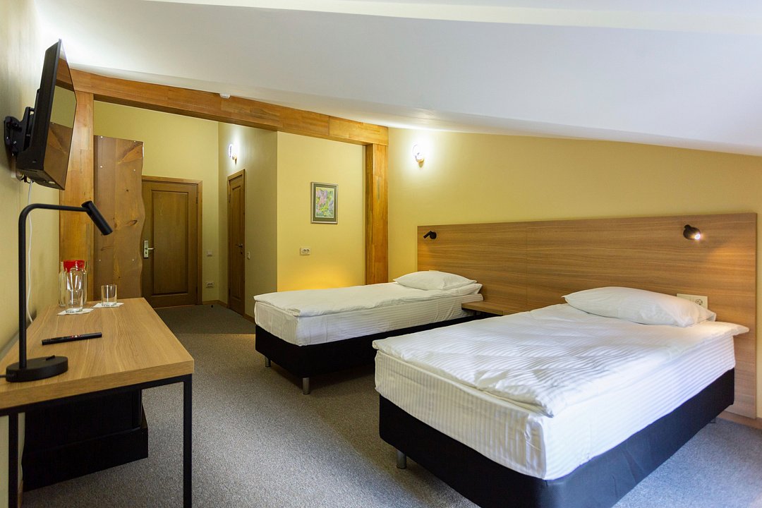 Стандарт Мансарда №302