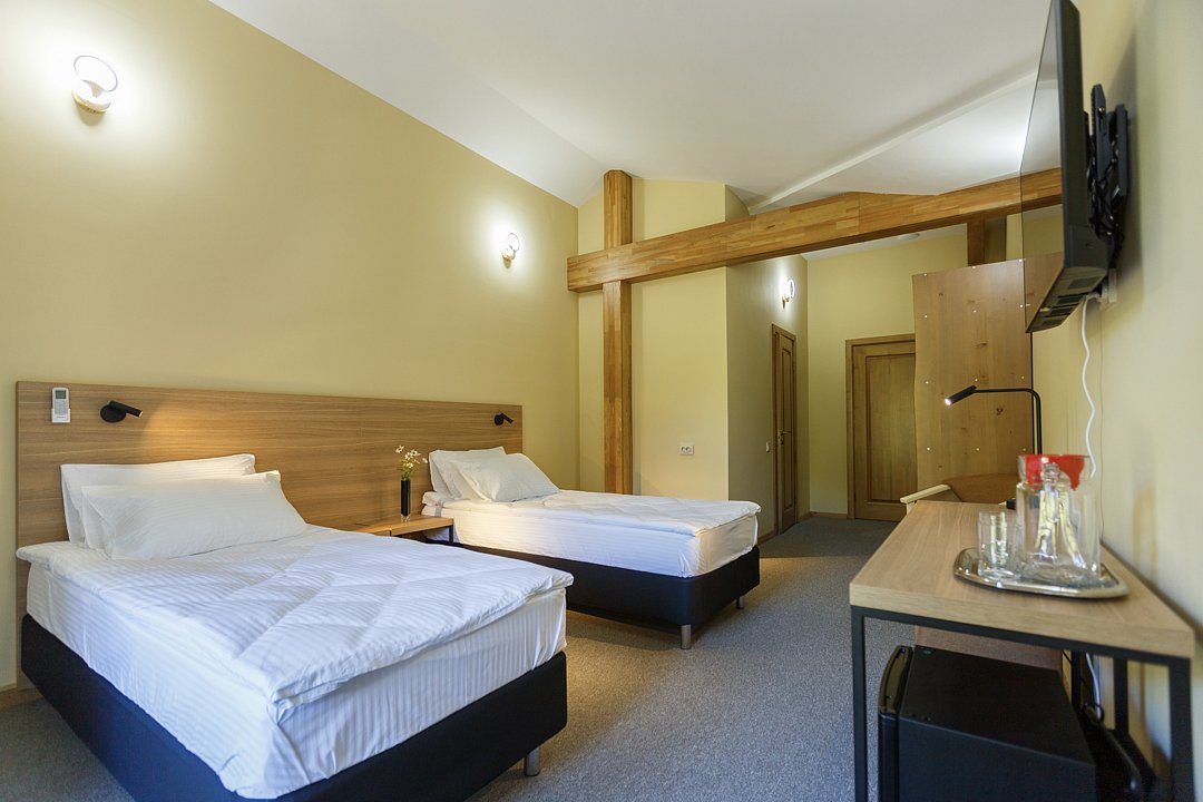 Стандарт Мансарда №303