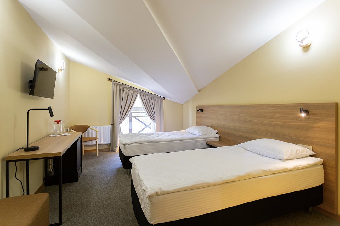 Стандарт Мансарда №304